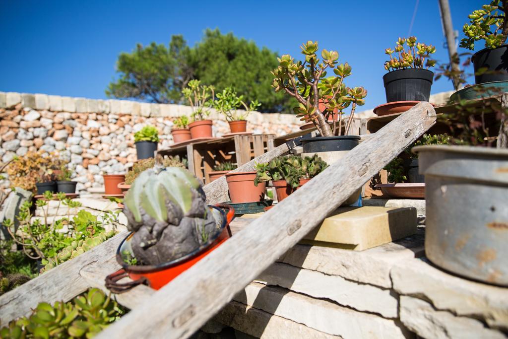 Agriturismo La Palascia Masseria Agreste Otranto Oda fotoğraf